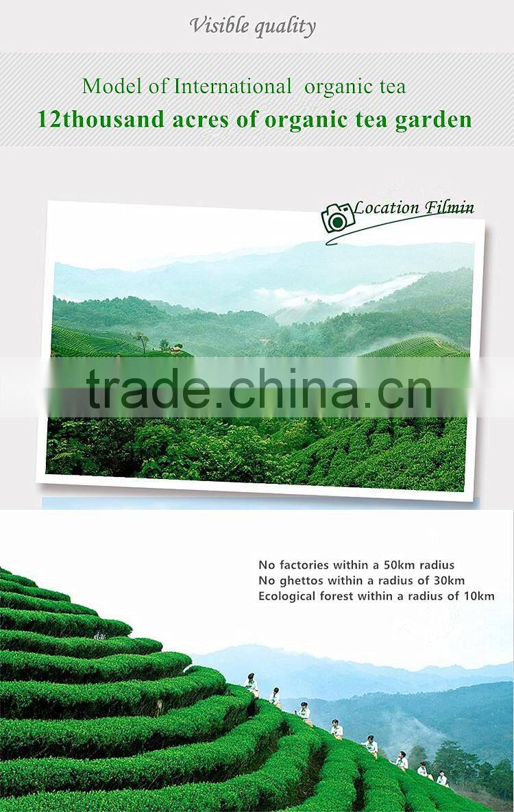 Famous green tea products type organic produce shipping from China