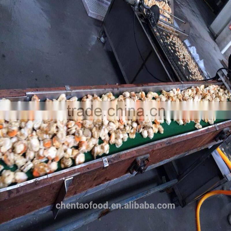 Frozen Scallops(japanese scallops)