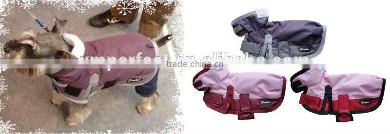 high neck dog clothes for best selling