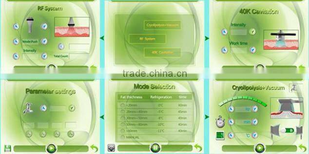 Hottest 2015 beauty equipment/cryolipolysis slimming machine ce approved cryolipolysis