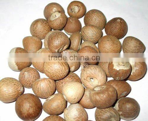VIETNAM SPLIT BETEL NUT/ SLICE BETEL NUT FOR SALES / WHOLE NUT CROP 2015