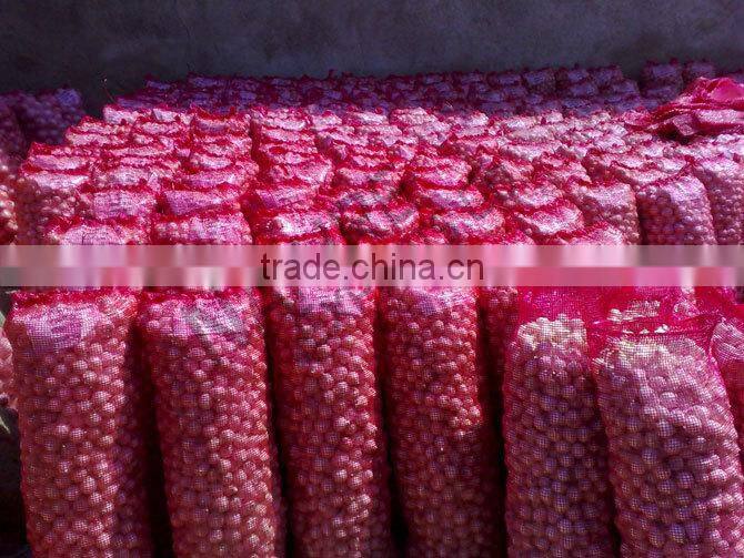 Red Onion ( Fresh ) Available throughout the Year