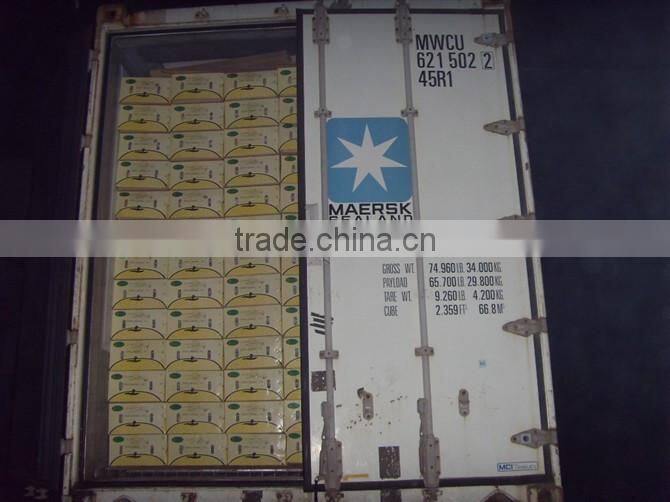 fresh shandong pear