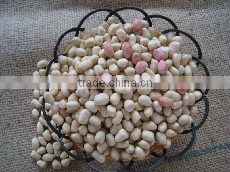 Shandong organic roasted and blanched peanut