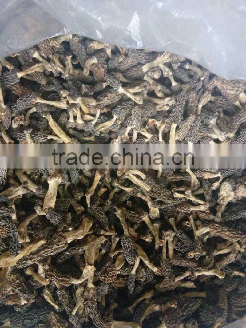 black morel mushroom market price dried morel mushroom magic mushrooms dried