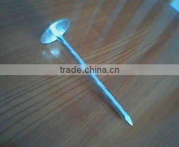 Galvanized 8G * 3" umbrella head Roofing Nail 1-3 inches