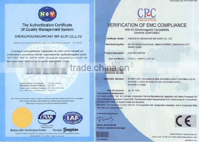 Small Chicken Fish Animal Feed Pellet Making Machine