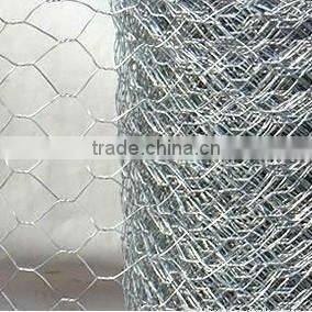 Chicken Wire Netting/Hexagonal Wire Netting/Poultry Hexagonal Mesh