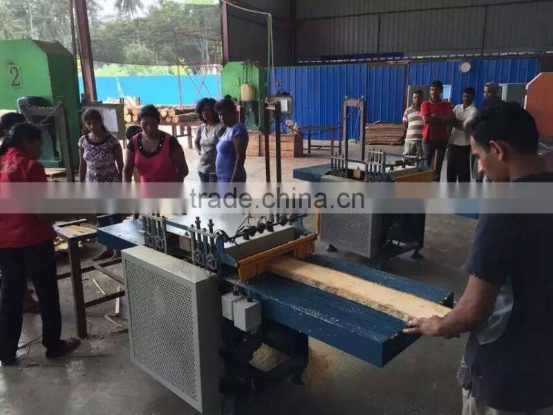 Log Multi-Blade Rip Saw and Board Edger