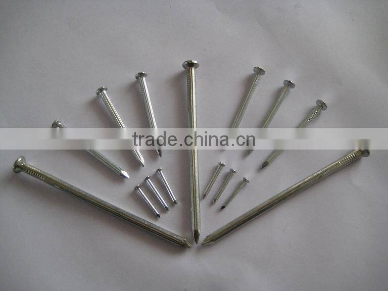 galvanized steel concrete nail thumb brand