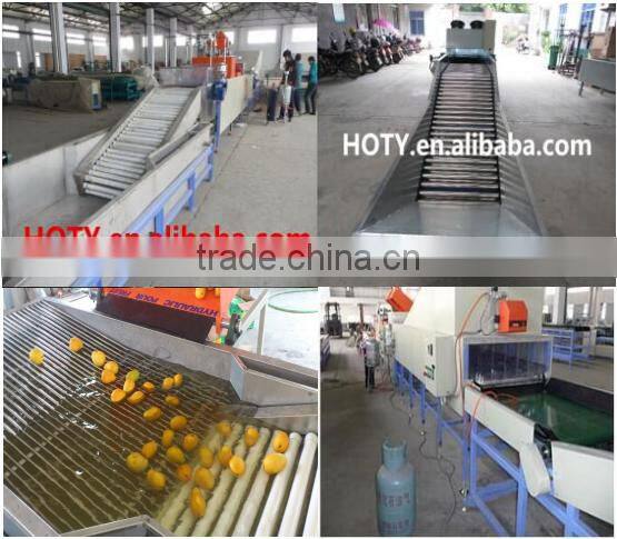 Tomato Grading Machine/washing and waxing machine