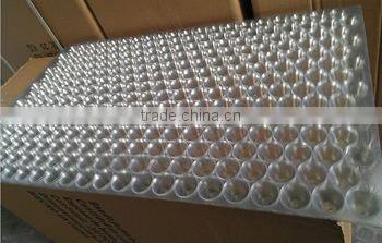 Wholesale useful rice seedling trays