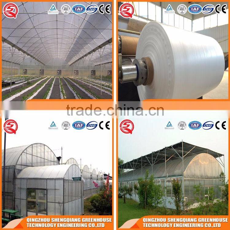 China Multifunction Plastic greenhouse for Agricultural farming