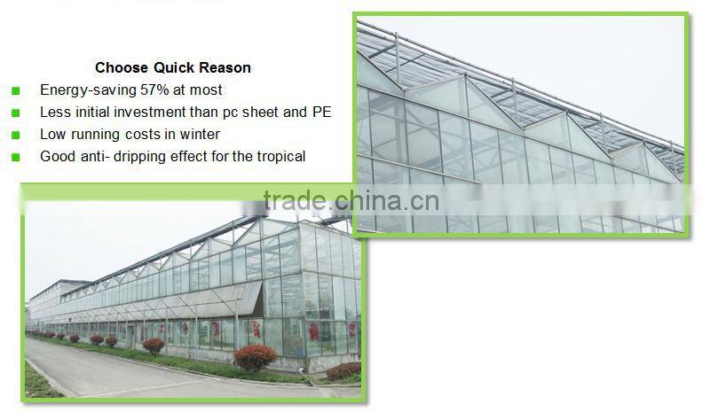 used commercial glass greenhouse for sale