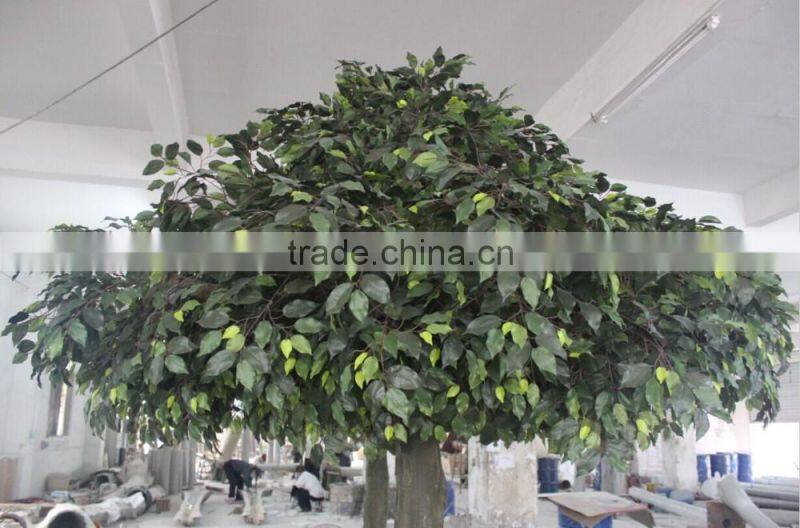 Hot sale artificial ficus tree in Factory price
