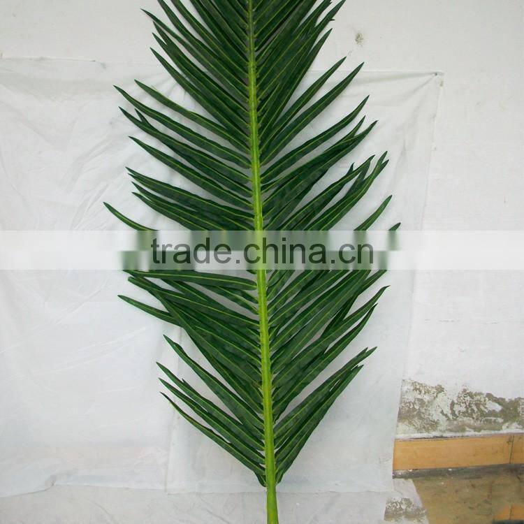 Preserved and Replica Trees plam data tree