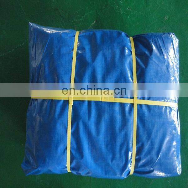 Canvas Cover Pe Tarpaulin in roll