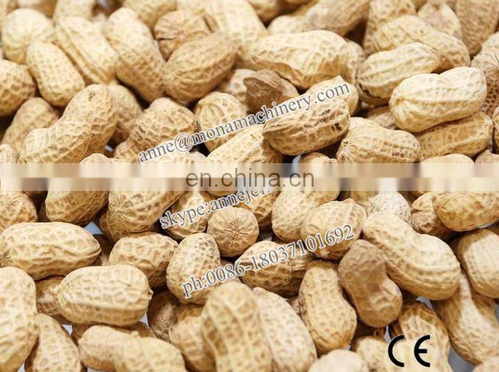 Widely used peanut roaster for sale Manufacture Almond roasting machine
