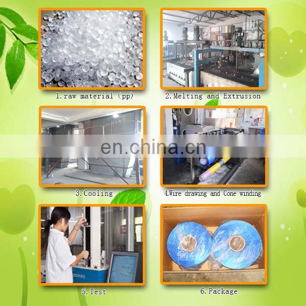 1500D High Tenacity Pp Yarn with Intermingled