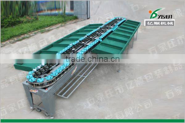 Automatic Kiwi fruit sorting machine YSXS-76-16-100