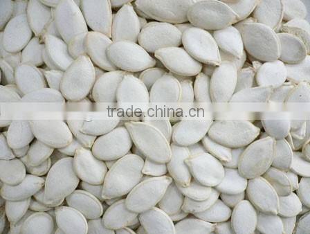 White Melon Seeds Color Sorting