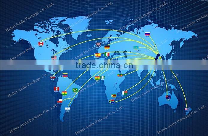 high barrier clear food vacuum plastic bag / vacuum bag nylon bag food bag