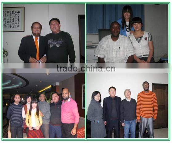 cookie packaging printing film roll/biscuit plastic wrapping film/packaging & printing