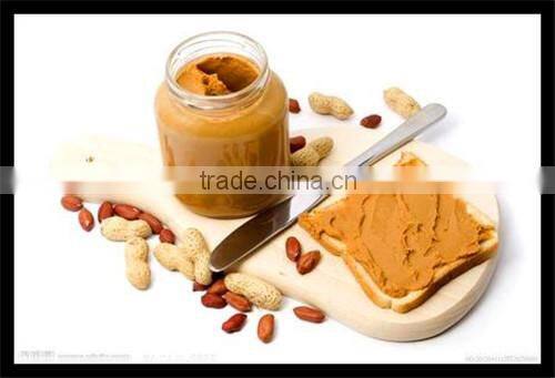 Automatic Electric Peanut Roaster machine Peanut Baking machine