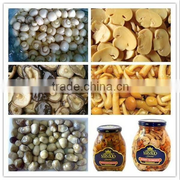 High Quality Canned Fresh Baby Corn Whole/Cut