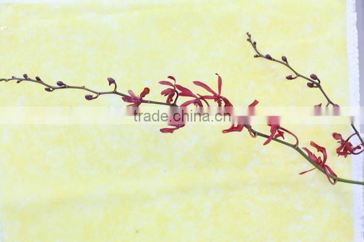 Fresh cut flowers Vanda orchid flowers