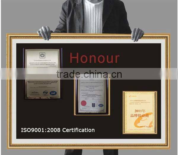 BP6411 P9 fuel injection pump