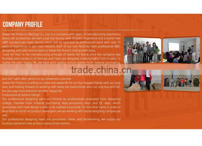 Hot Selling Interactive Colorful Feather Teaser Cat Toy Free Shipping