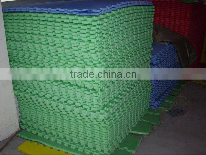 Indoor Foam Mat