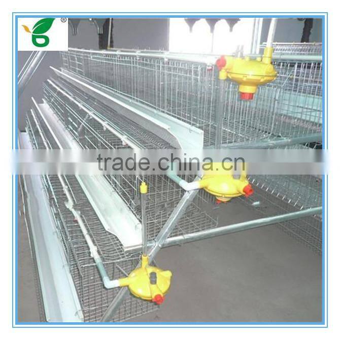 high efficiency automatic egg collection system
