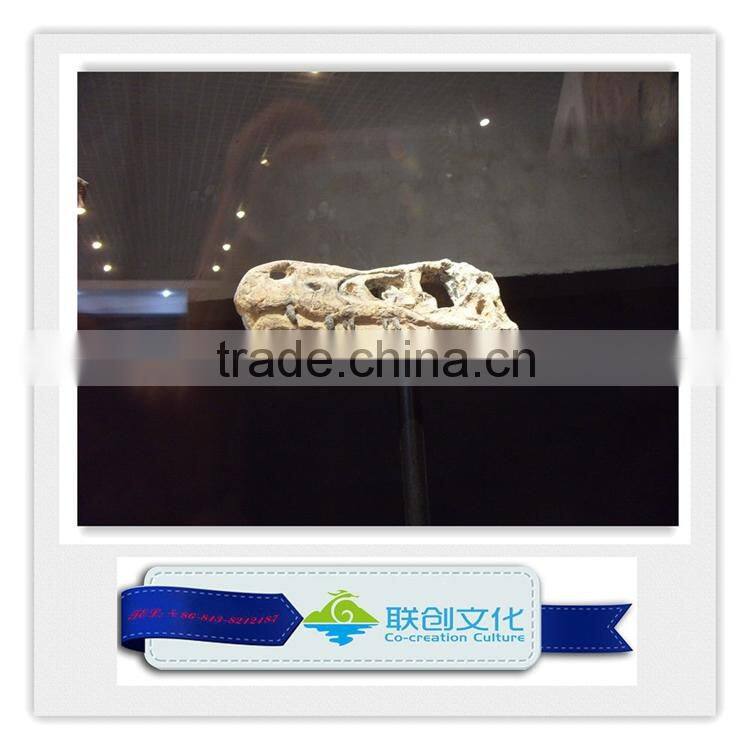 High quality museum life size dinosaur replica