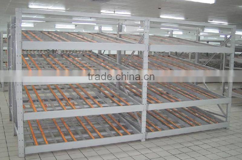 Flow Through Rack Storage Racking Warehouse Shelving Logistic Equipment Storage System