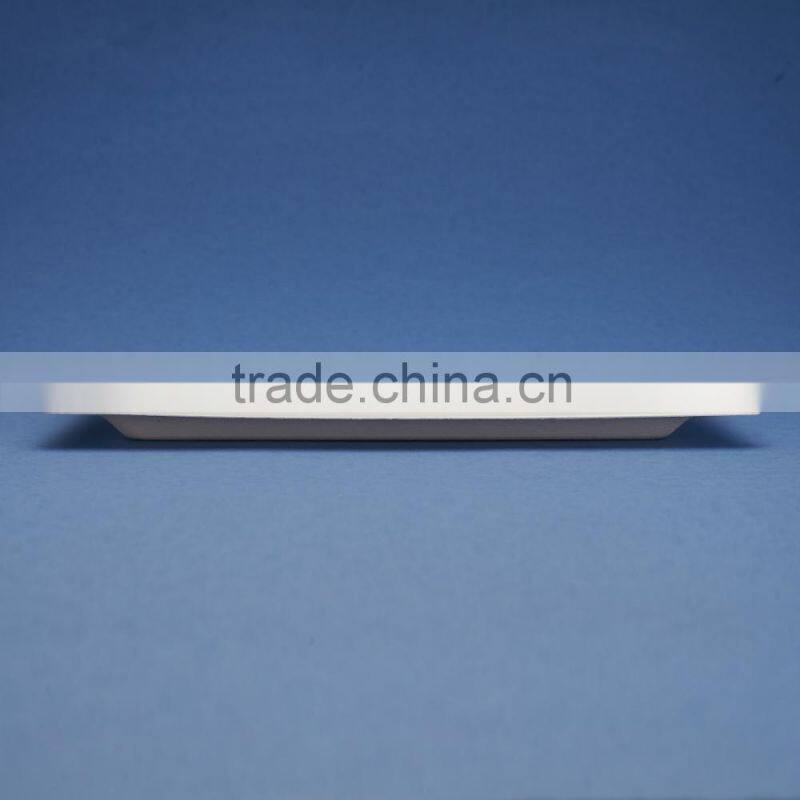 PL-10-05-R 10*5 inches sugercane flate rectangle shape dinner plates