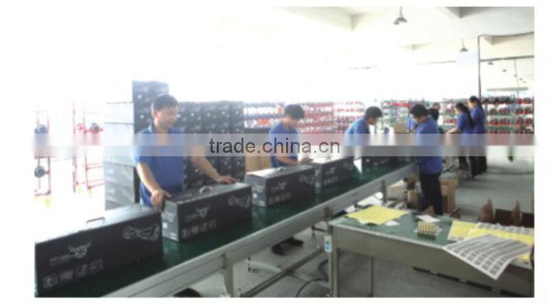 2015 top qualtiy mini balance scooter with 4.4Ah lithum battery factory directly