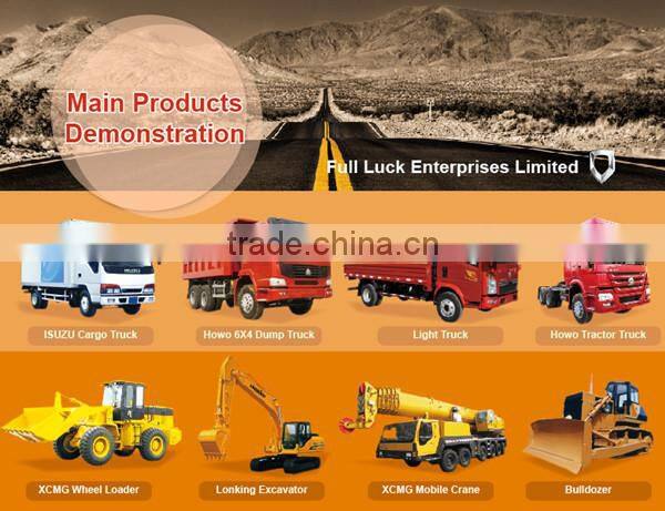 CHINA BRAND MINI LOADER