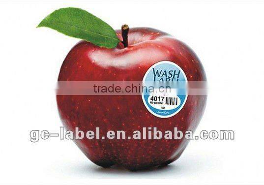 high-quanlity Custom adhesive Guangzhou sticker