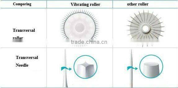 electric power micro needle dermaroller cellulite treatment skin care derma roller