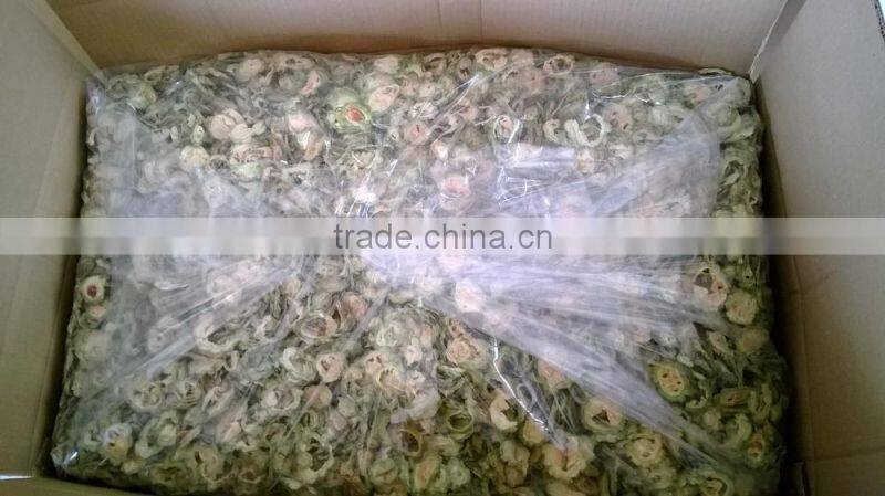 DRIED BITTER HIGH QUALITY