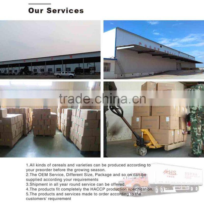 Non gmo frozen yellow corn market price