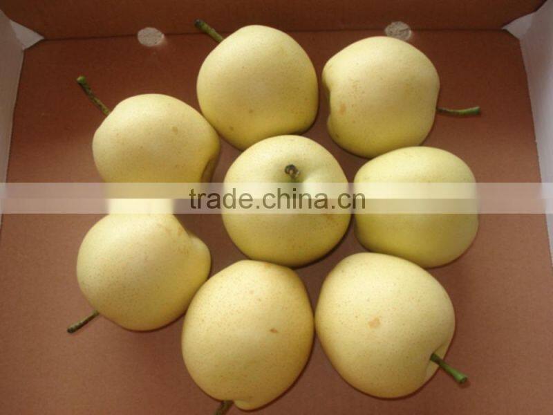 2015 new crop fresh pears bulk purchase