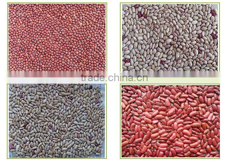 Small red kidney beans nutrition facts