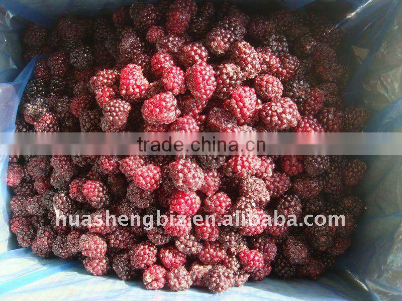 BRC,KOSHER,HALAL IQF blackberry