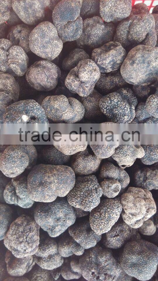 Chinese hot sale best quality frozen truffle mushroom