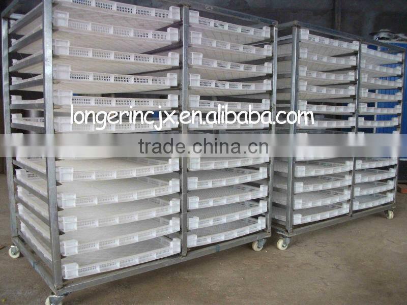 Electric Type Mango Drying Oven|Fruit Drying Machine for sale