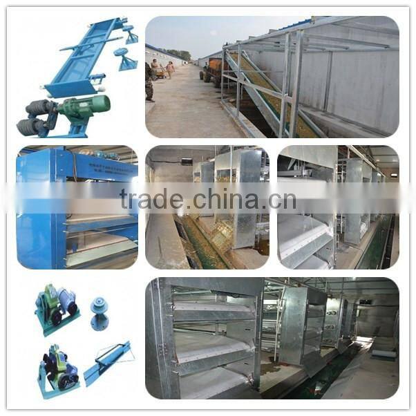Zhongzhou automatic poultry battery chicken cage for Africa