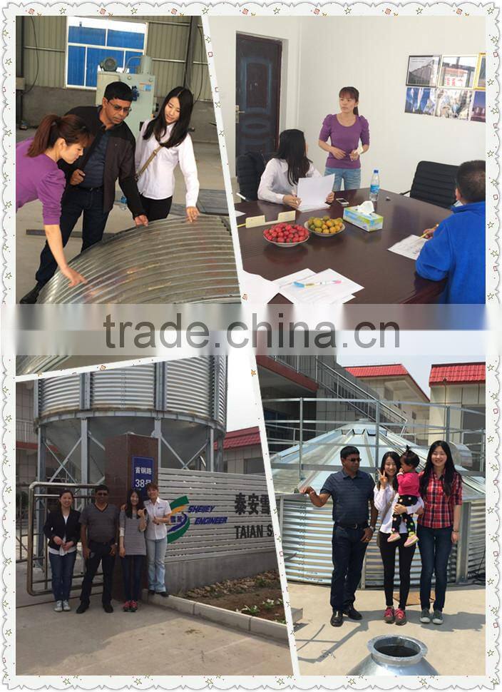 High Quality Screw Conveyor for Pellet Silo